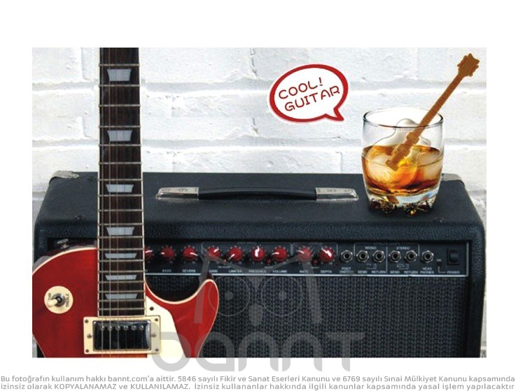 Gitar Buz Kalıbı Gitar Buz Kalıbı