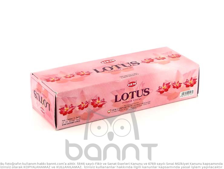 Lotus Tütsü