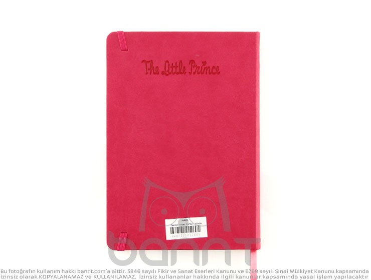 The Little Prince Defter (pembe)