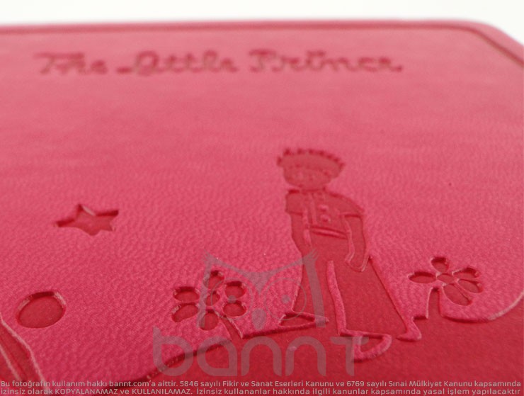 The Little Prince Defter (pembe)