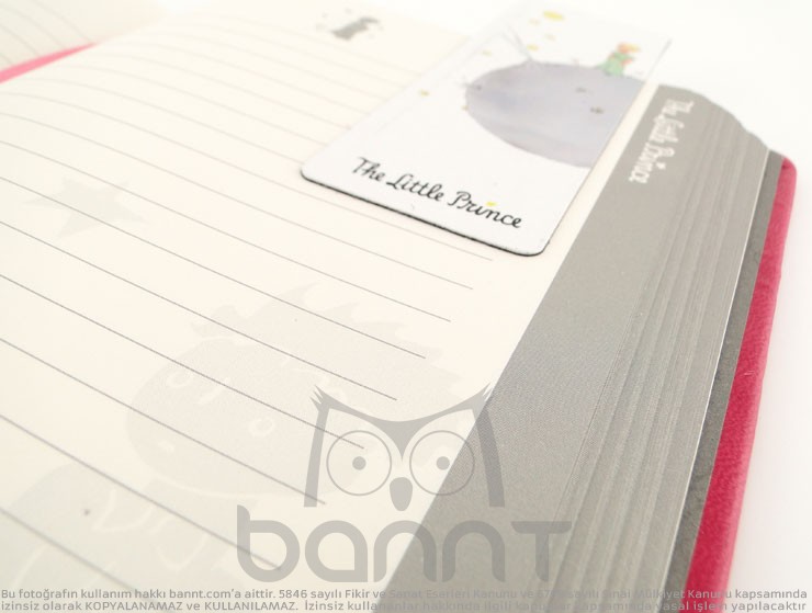 The Little Prince Defter (pembe) The Little Prince Defter (pembe)