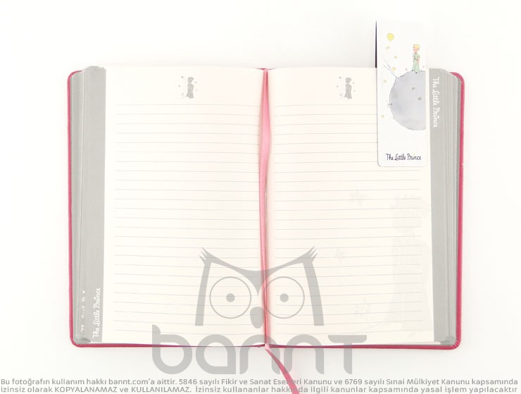 The Little Prince Defter (pembe)