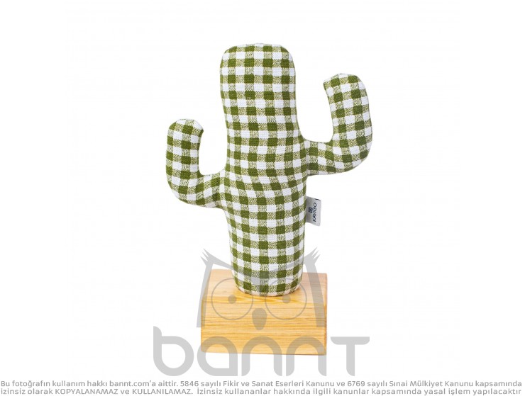 Kayıgo Cactus Lavanta Dolgulu Notluk