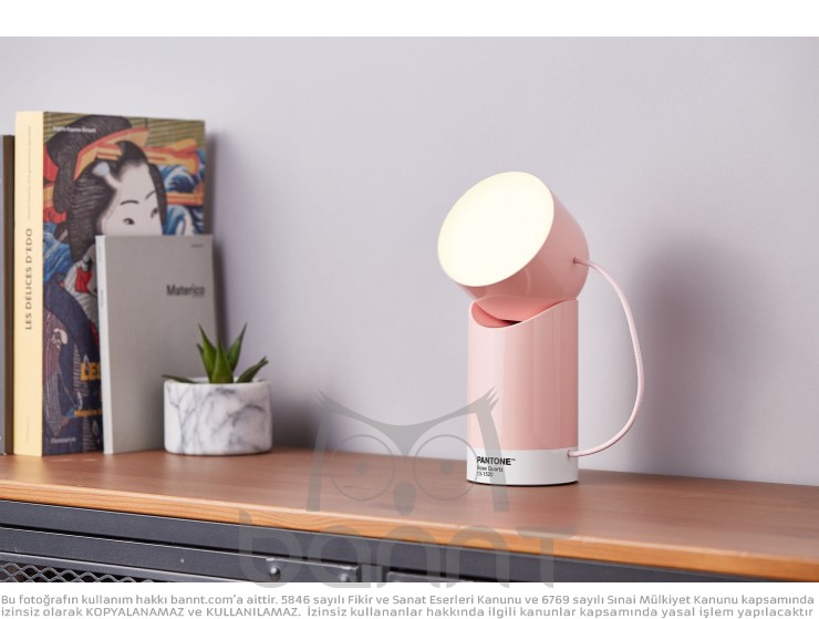 Lexon x Pantone Orbe Led Aydınlatma Açık Pembe Lexon x Pantone Orbe Led Aydınlatma Açık Pembe