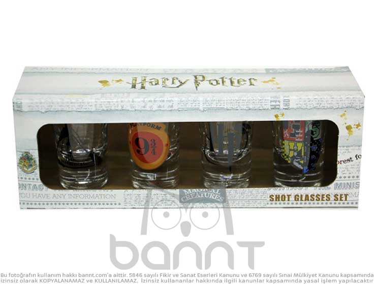 Harry Potter Shot Bardak Takımı