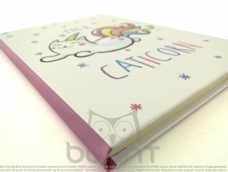 Caticorn Defter