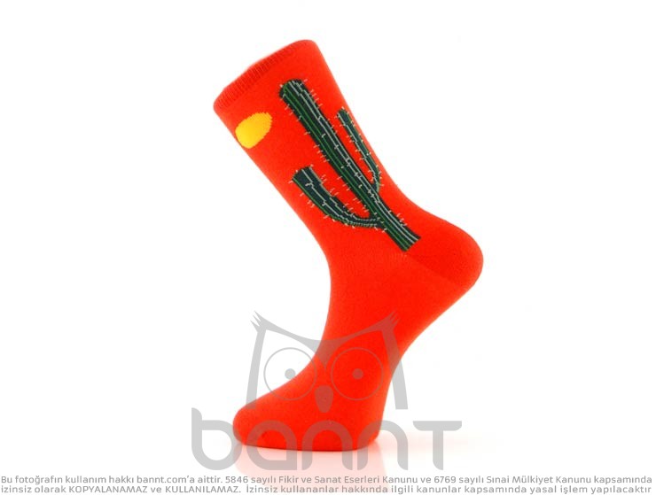 Cactus Çorap