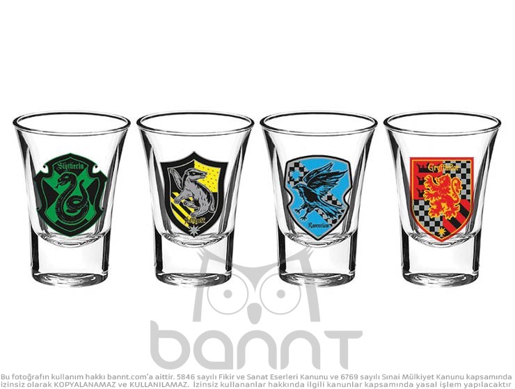 Harry Potter Shot Bardak Takımı II Harry Potter Shot Bardak Takımı II