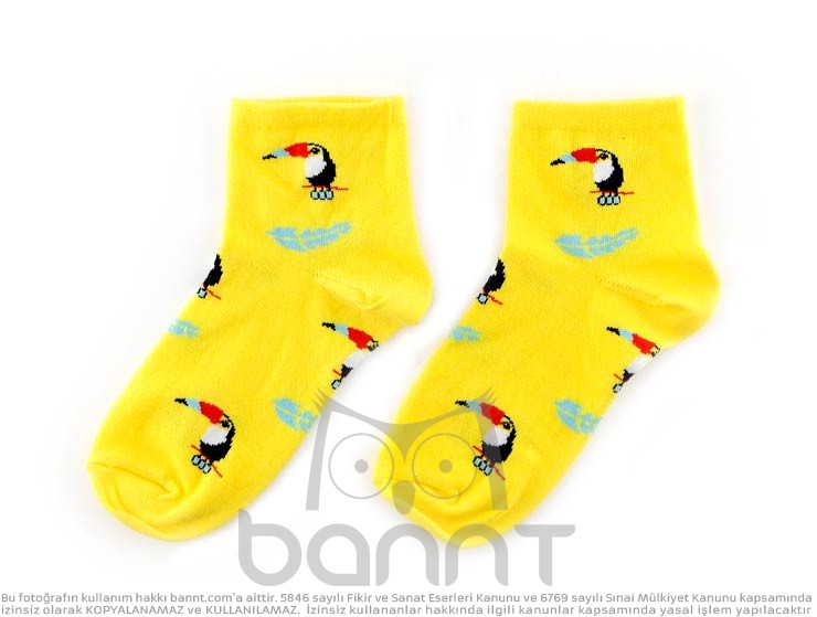 Toucan Çorap