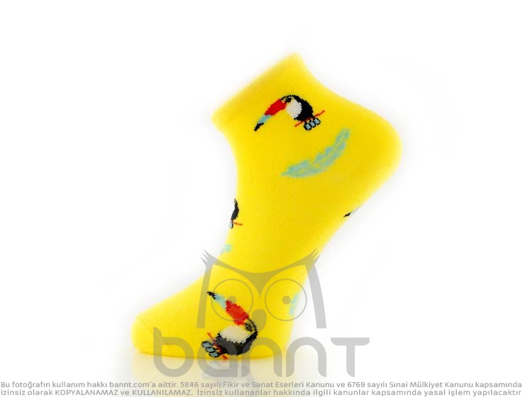 Toucan Çorap