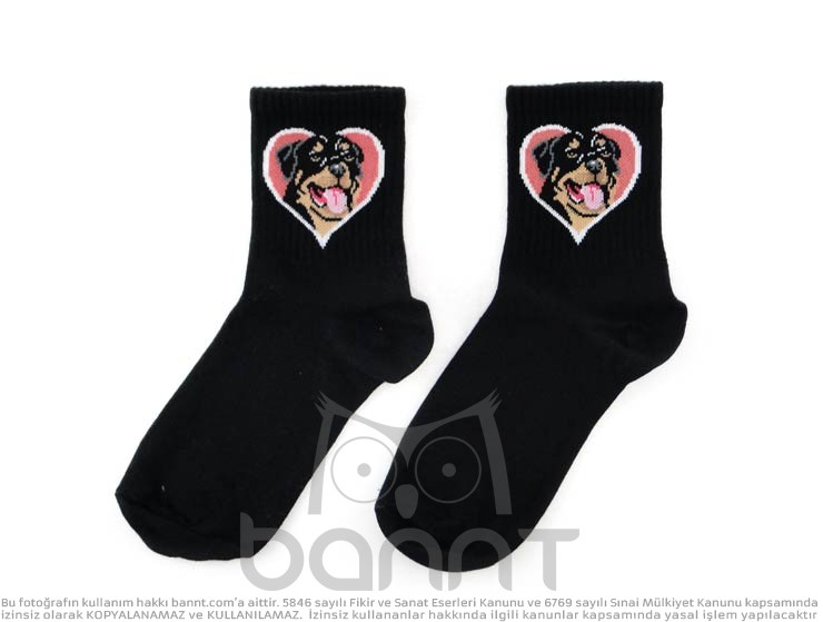 Rottweiler Çorap