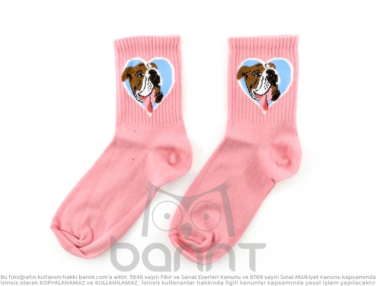 Dog Love Çorap