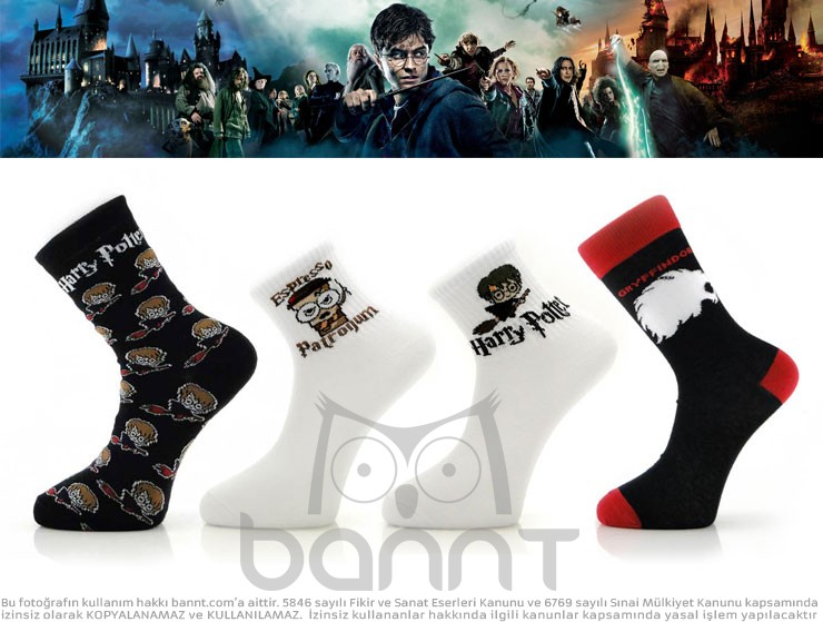 Harry Potter 4'lü Çorap Seti