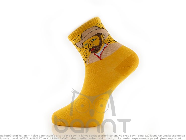 Van Gogh Çorap