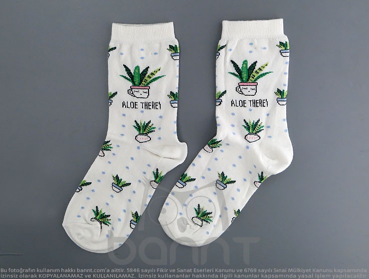 Aloe Vera Çorap