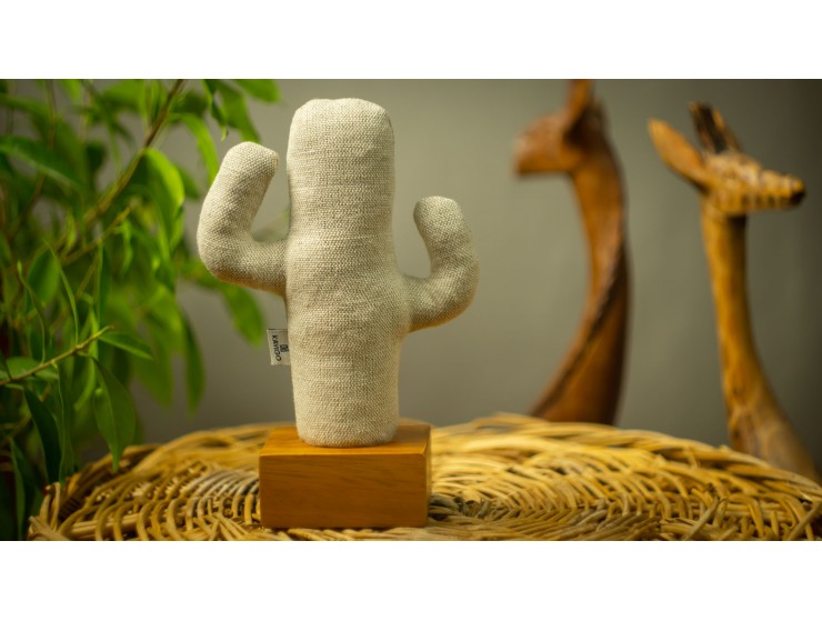Kayigo Cactus Lavanta Dolgulu Notluk Kayigo Cactus Lavanta Dolgulu Notluk