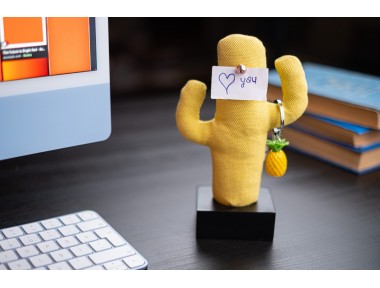 Kayigo Siyah Woody Sarı Cactus Üçlü Set