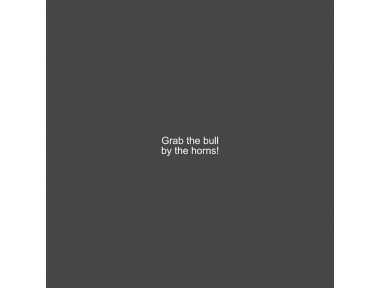 Metalmorphose Boğa Anahtarlık