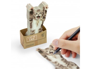 Mustard Cat in a Box