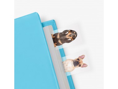 Mustard Dog in a Book