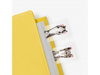 Mustard Cat in a Book