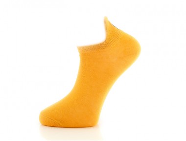 Grizzly Bear Patik Çorap