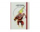 Flash Defter Flash Defter