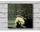 Einstein Ahşap Duvar Saati