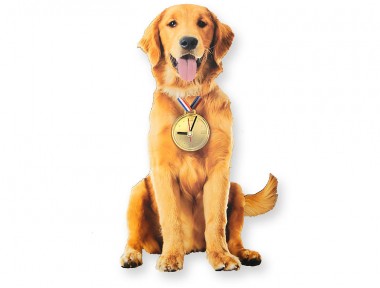 Golden Sarkaçlı Duvar Saati Golden Sarkaçlı Duvar Saati