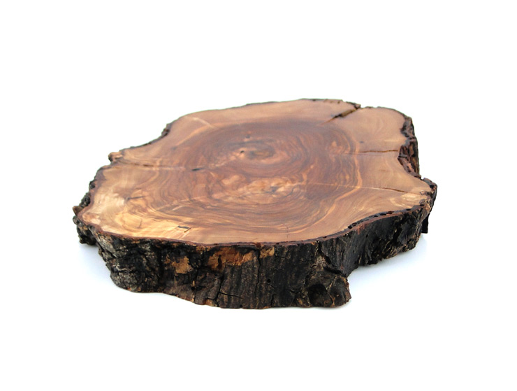 Zeytin Ağacı Peynir Tabağı